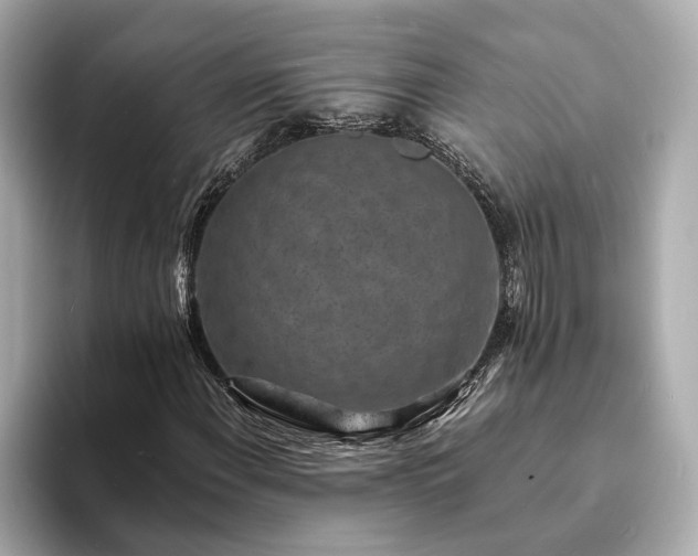 X0000094071108200710261241