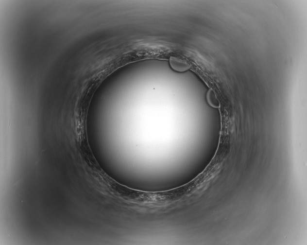 X0000094071109200710261241