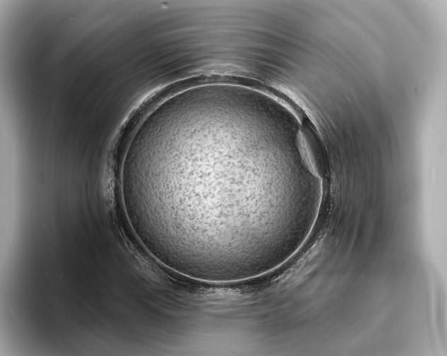 X0000094071115200710261241
