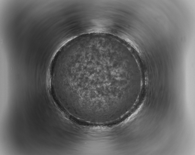 X0000094071117200710261241