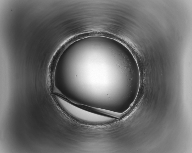 X0000094071118200710261241