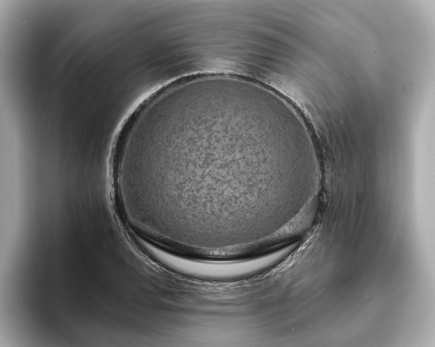 X0000094071120200710261241