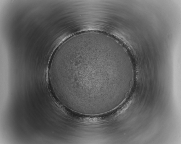 X0000094071121200710261241