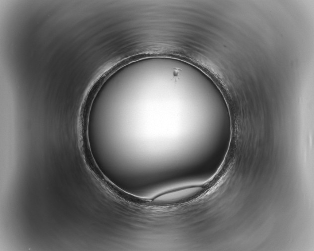 X0000094071122200710261241