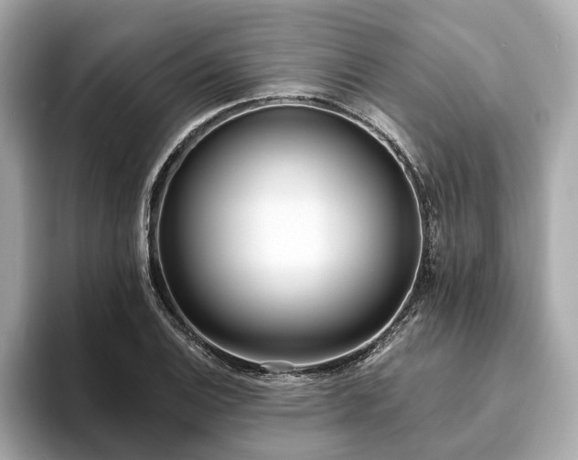 X0000094071124200710261241