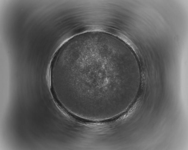 X0000094071127200710261241