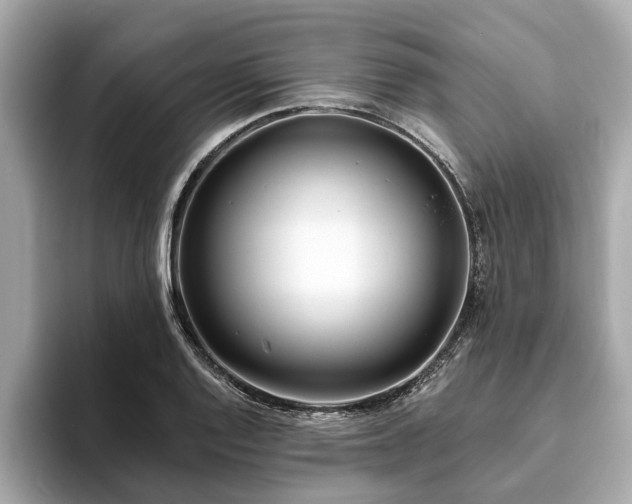 X0000094071128200710261241