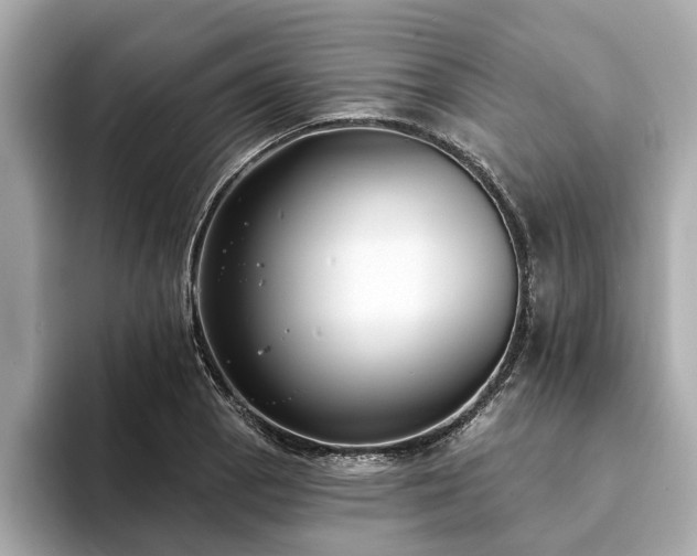 X0000094071129200710261241