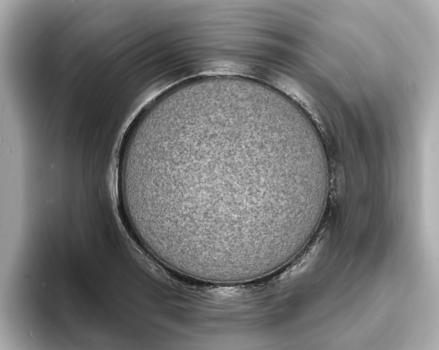X0000094071130200710261241
