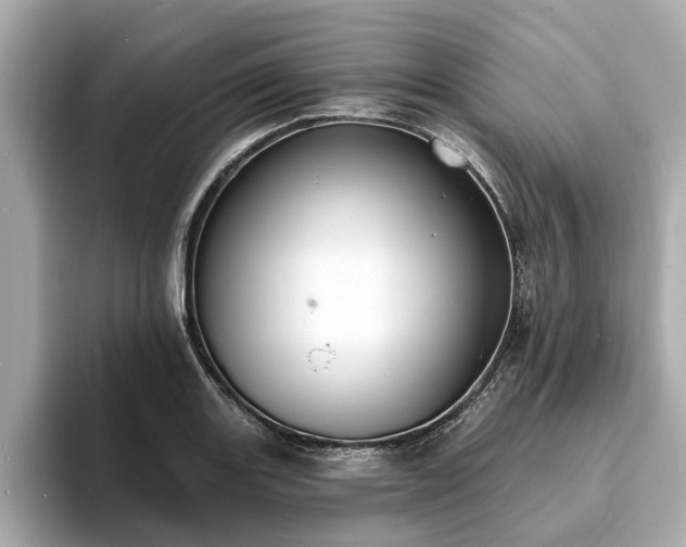 X0000094071131200710261241