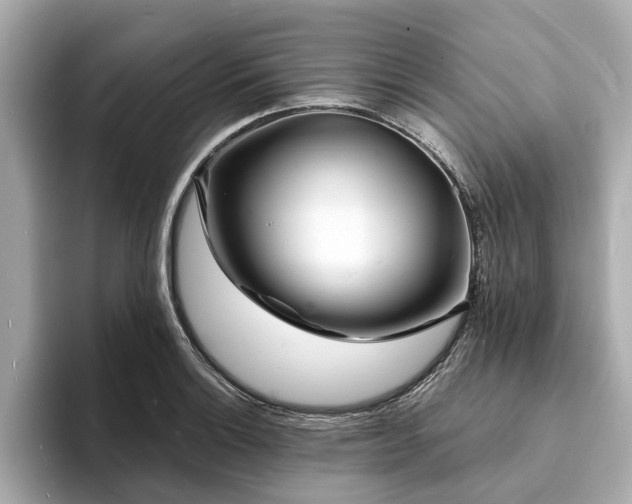 X0000094071132200710261241