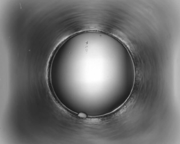 X0000094071135200710261241