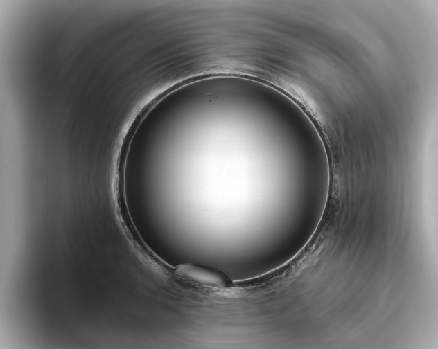 X0000094071136200710261241