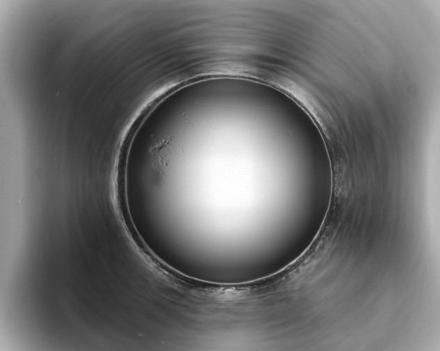 X0000094071139200710261241