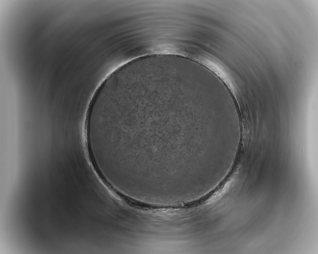 X0000094071141200710261241