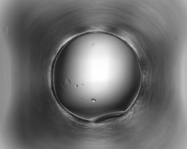 X0000094071143200710261241