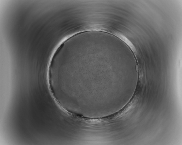 X0000094071144200710261241