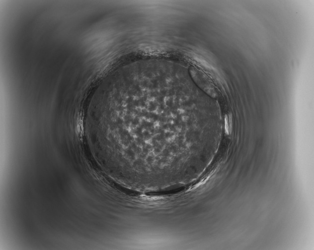 X0000094071155200710261241