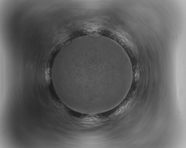 X0000094071156200710261241