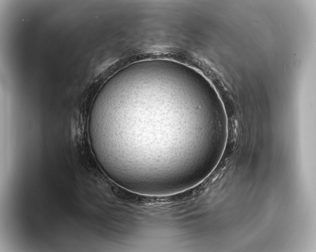 X0000094071158200710261240