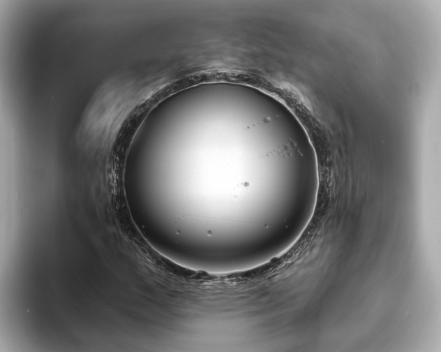 X0000094071159200710261240