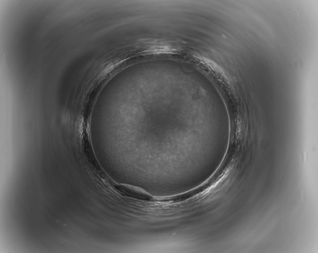 X0000094071161200710261240
