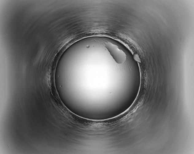 X0000094071162200710261240