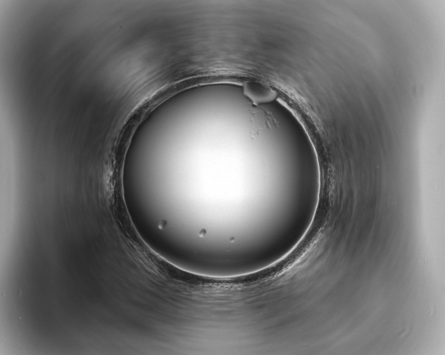 X0000094071163200710261240