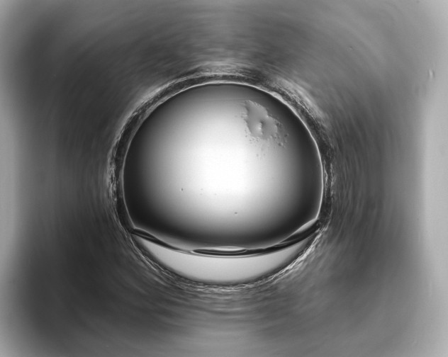 X0000094071164200710261240
