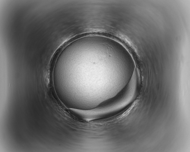 X0000094071165200710261240