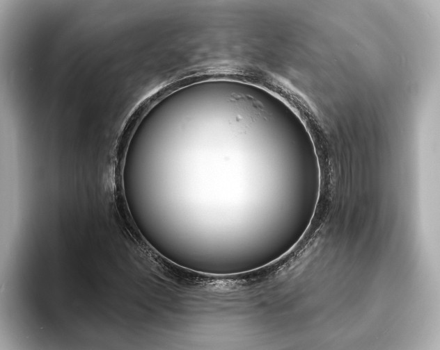 X0000094071166200710261240
