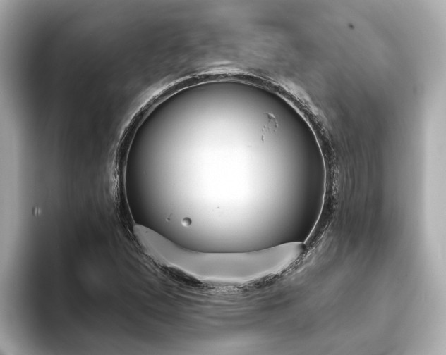 X0000094071167200710261240