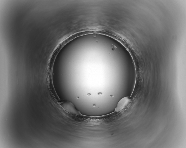 X0000094071168200710261240