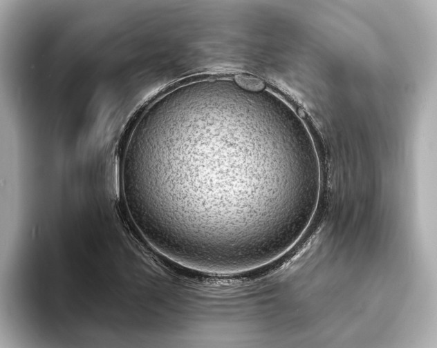 X0000094071171200710261240