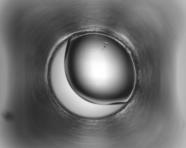 X0000094071172200710261240