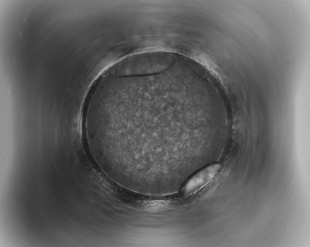 X0000094071173200710261240