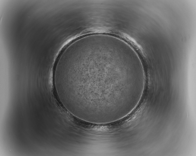X0000094071174200710261240