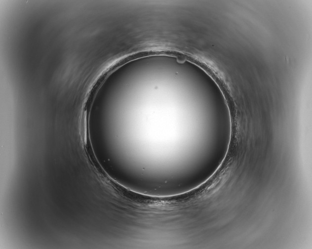 X0000094071175200710261240