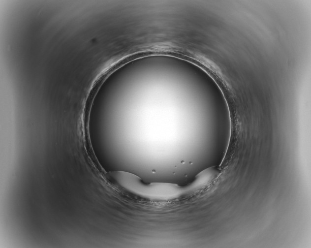 X0000094071176200710261240