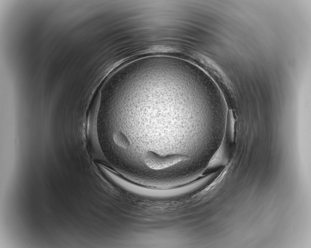 X0000094071177200710261240