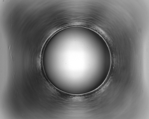 X0000094071178200710261240