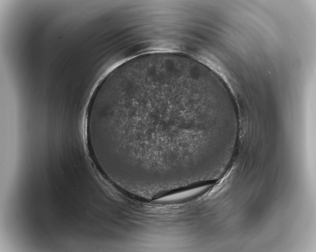 X0000094071179200710261240