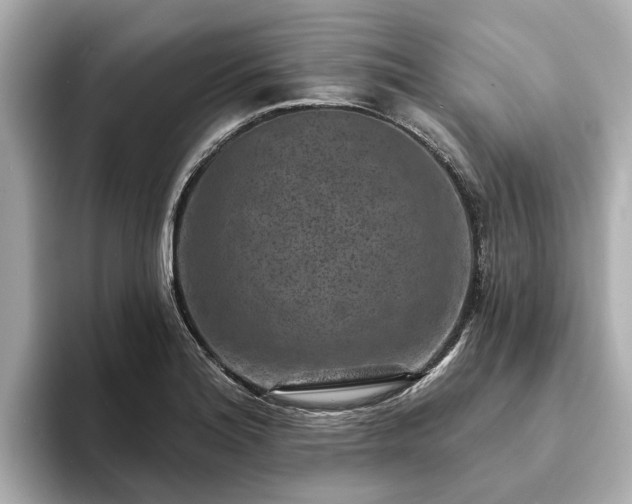 X0000094071180200710261240
