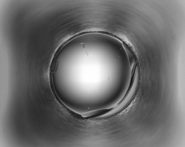 X0000094071181200710261240