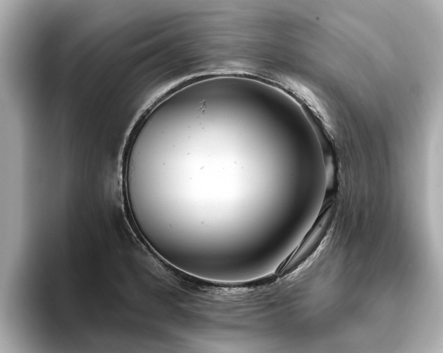 X0000094071184200710261240