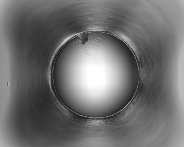 X0000094071187200710261240