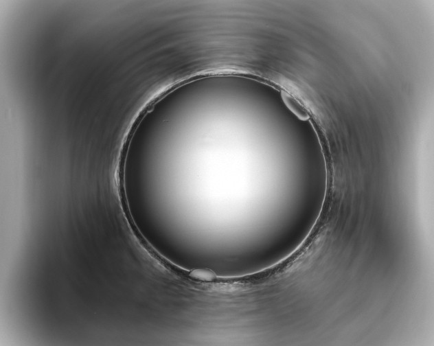 X0000094071189200710261240