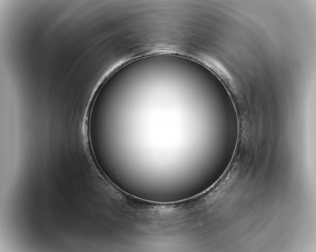 X0000094071190200710261240