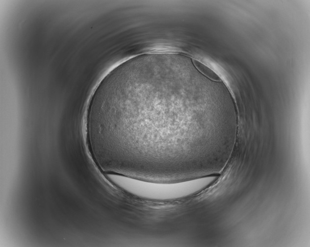 X0000094071195200710261240