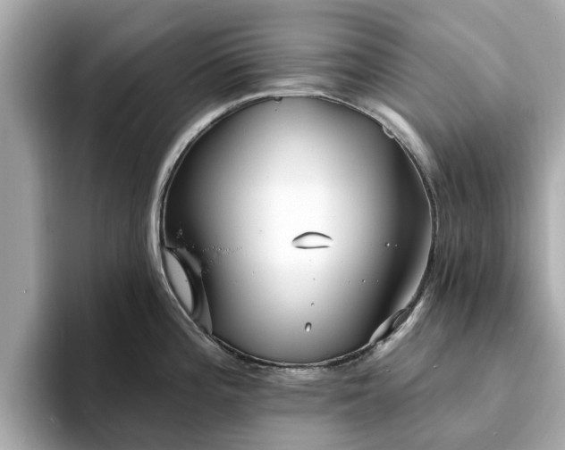 X0000094071196200710261240